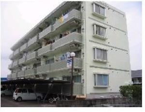 清武町加納３丁目55の賃貸(アパート・マンション)