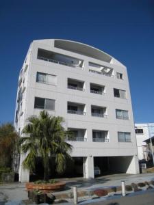 青島２丁目4-25の賃貸(アパート・マンション)