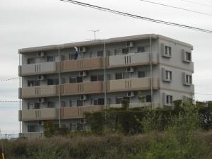 昭栄町113の賃貸(アパート・マンション)