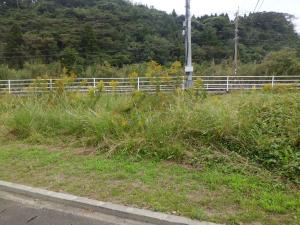 大字加江田の売買(売地)
